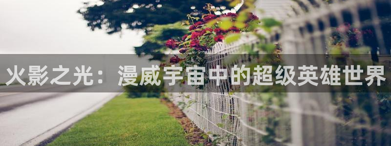 香蕉漫画下载软件：火影之光：漫威宇宙中的超级英雄世界