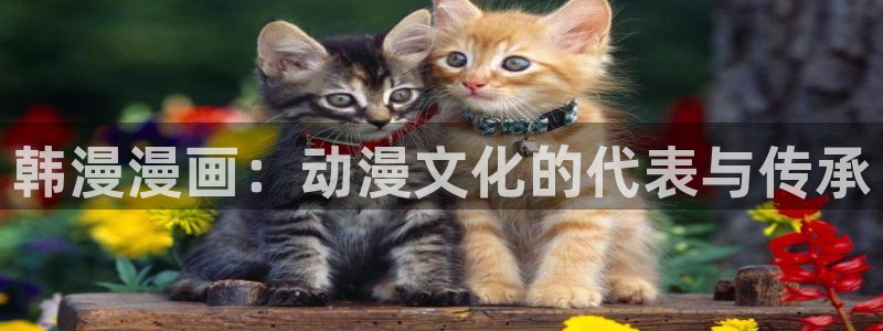 香蕉漫画网站入口永久原：韩漫漫画：动漫文化的代表与传承