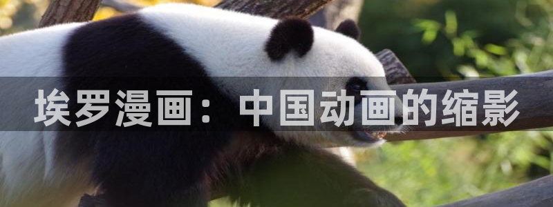 香蕉漫画在线观看入口免费：埃罗漫画：中国动画的缩影