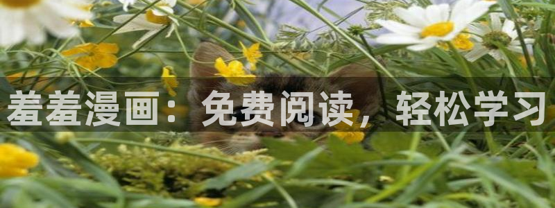 香蕉漫画免费观看入口：羞羞漫画：免费阅读，轻松学习