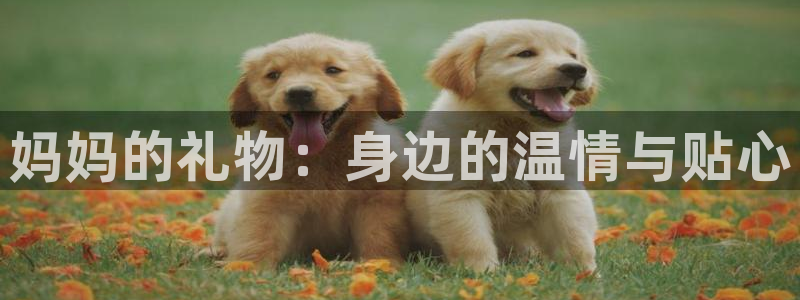,香蕉漫画：妈妈的礼物：身边的温情与贴心