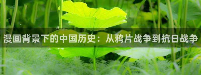 香蕉文化漫画书下拉式免费阅读：漫画背景下的中国历史：从鸦片战争到抗日战争