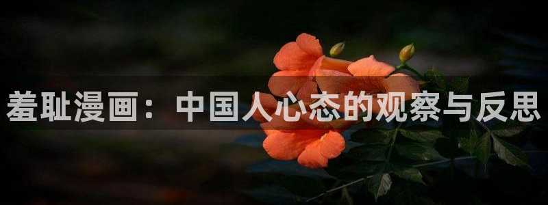 香蕉漫画免费在线阅读：羞耻漫画：中国人心态的观察与反思