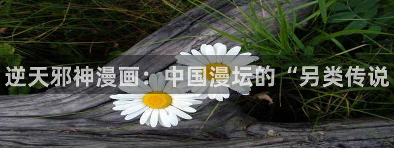 香蕉漫画首页登录入口页面在哪里：逆天邪神漫画：中国漫坛的“另类传说