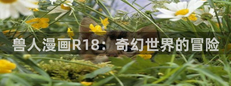 香蕉漫画韩国：兽人漫画R18：奇幻世界的冒险